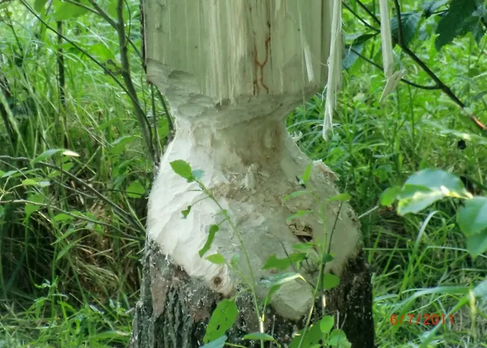 Burylowka Alojamento de Turismo Rural